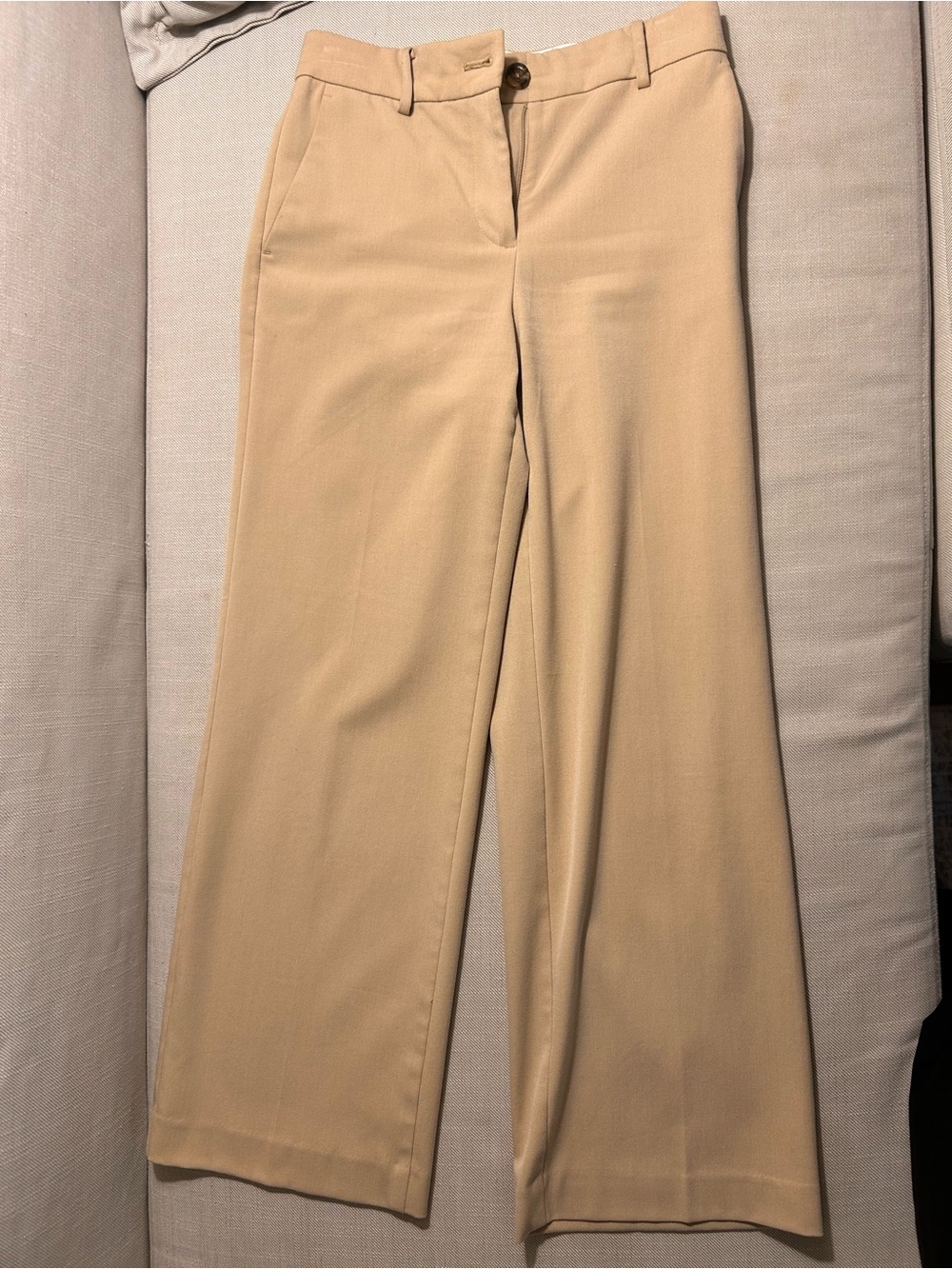 Ann Taylor Wide-Leg Dress Pants in Beige